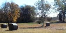 tn-hayfield